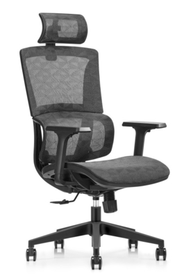 Assistance et confort inégalés Chaise de bureau en maille ergonomique pour un alignement parfait
