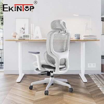 Meubles modernes Appuie-bras confortable Support lombaire réglable Chaise de bureau pleine maille